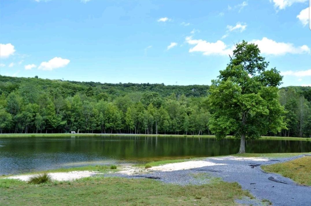 *Amenity-Filled Waterfront Oasis @Saw Creek Estates Near Waterfalls And Hiking* East Stroudsburg Εξωτερικό φωτογραφία