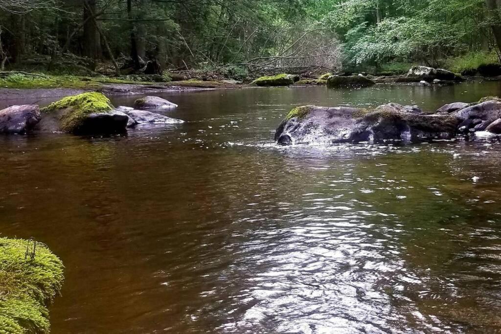 *Amenity-Filled Waterfront Oasis @Saw Creek Estates Near Waterfalls And Hiking* East Stroudsburg Εξωτερικό φωτογραφία