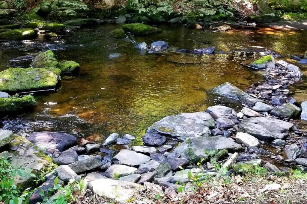 *Amenity-Filled Waterfront Oasis @Saw Creek Estates Near Waterfalls And Hiking* East Stroudsburg Εξωτερικό φωτογραφία